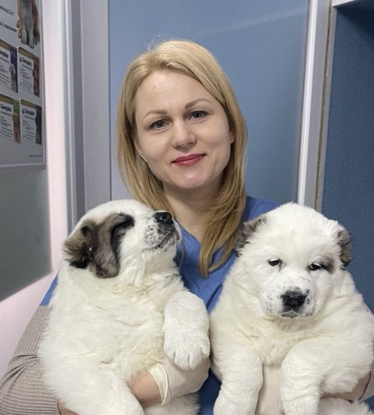 Наталія Стрельнікова